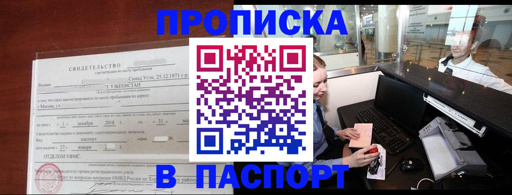 временная регистрация надежно в Камчатской области